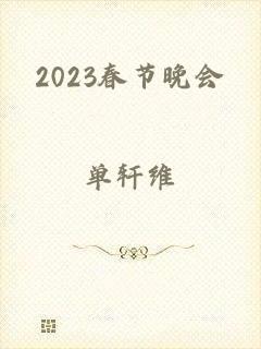 2023春节晚会