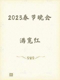 2023春节晚会